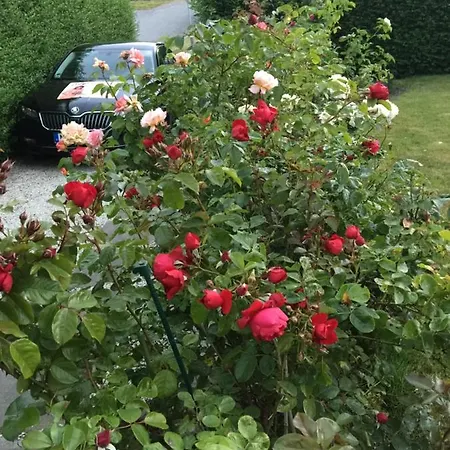 Schlosschen Am Feriehus Ærøskøbing